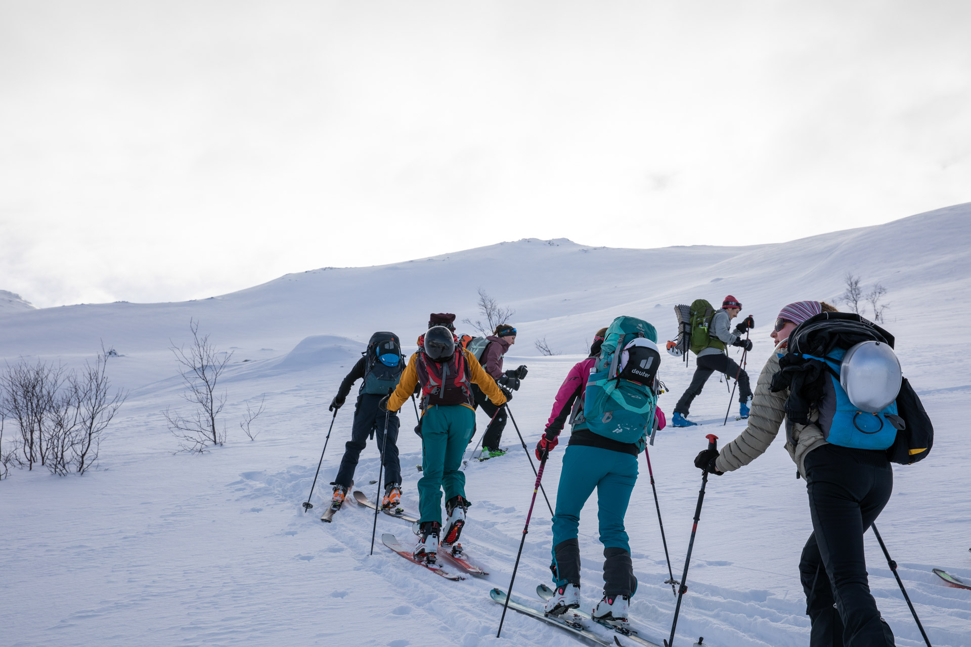 Skigåere med flott natur i bakgrunnen.